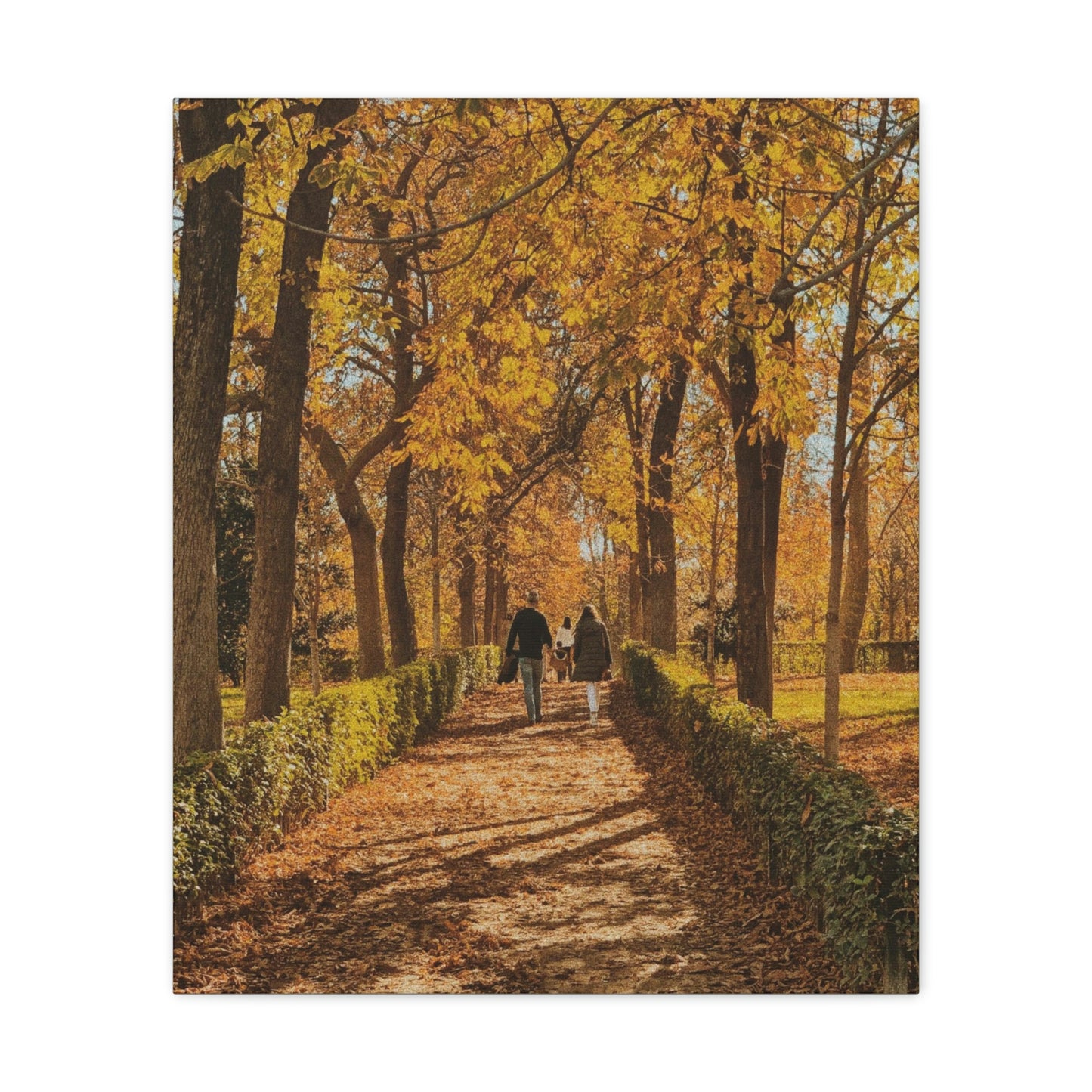 Autumn in Spain - Canvas Gallery Wraps - TomiJadePhotos