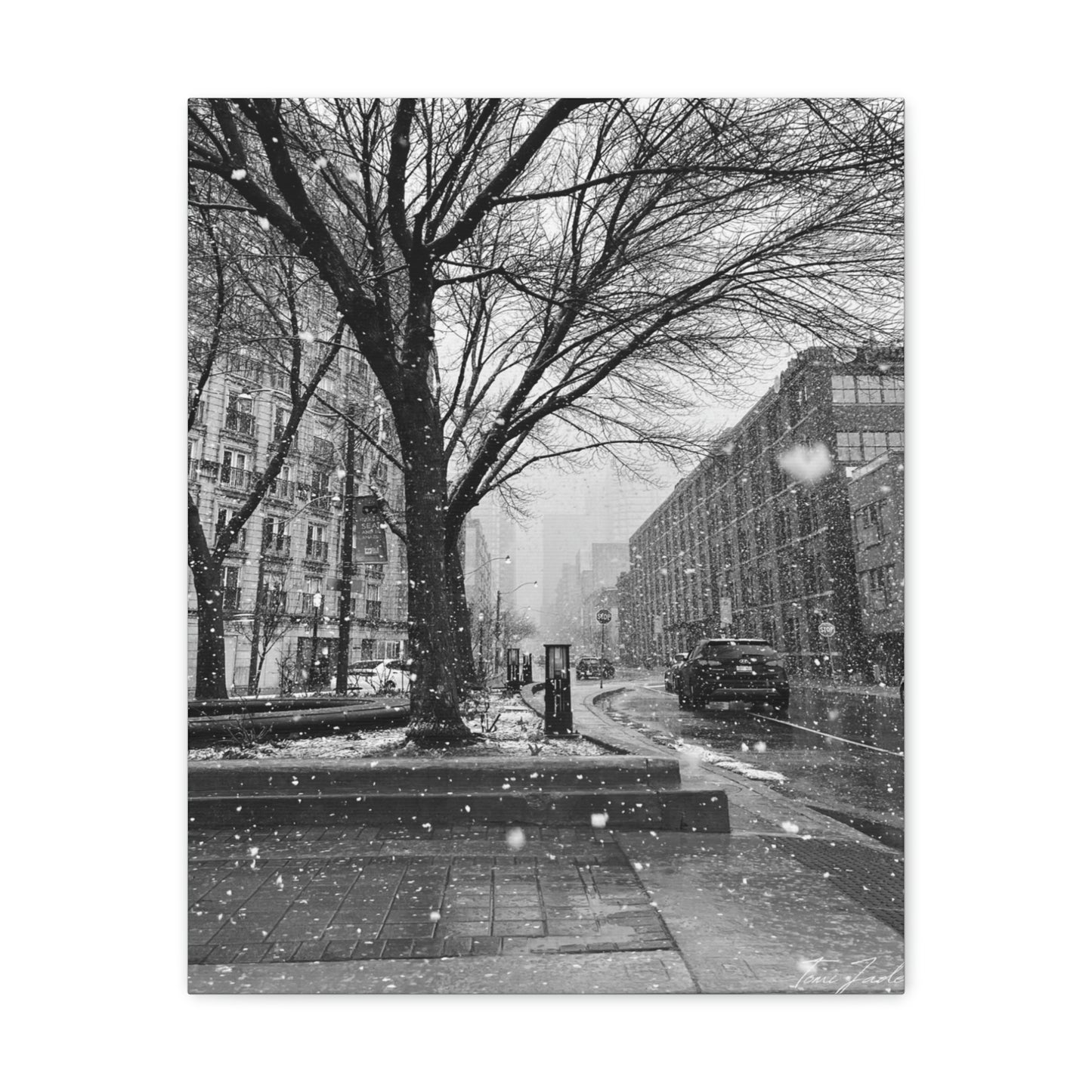 Snowfall Downtown - Canvas Gallery Wraps - TomiJadePhotos
