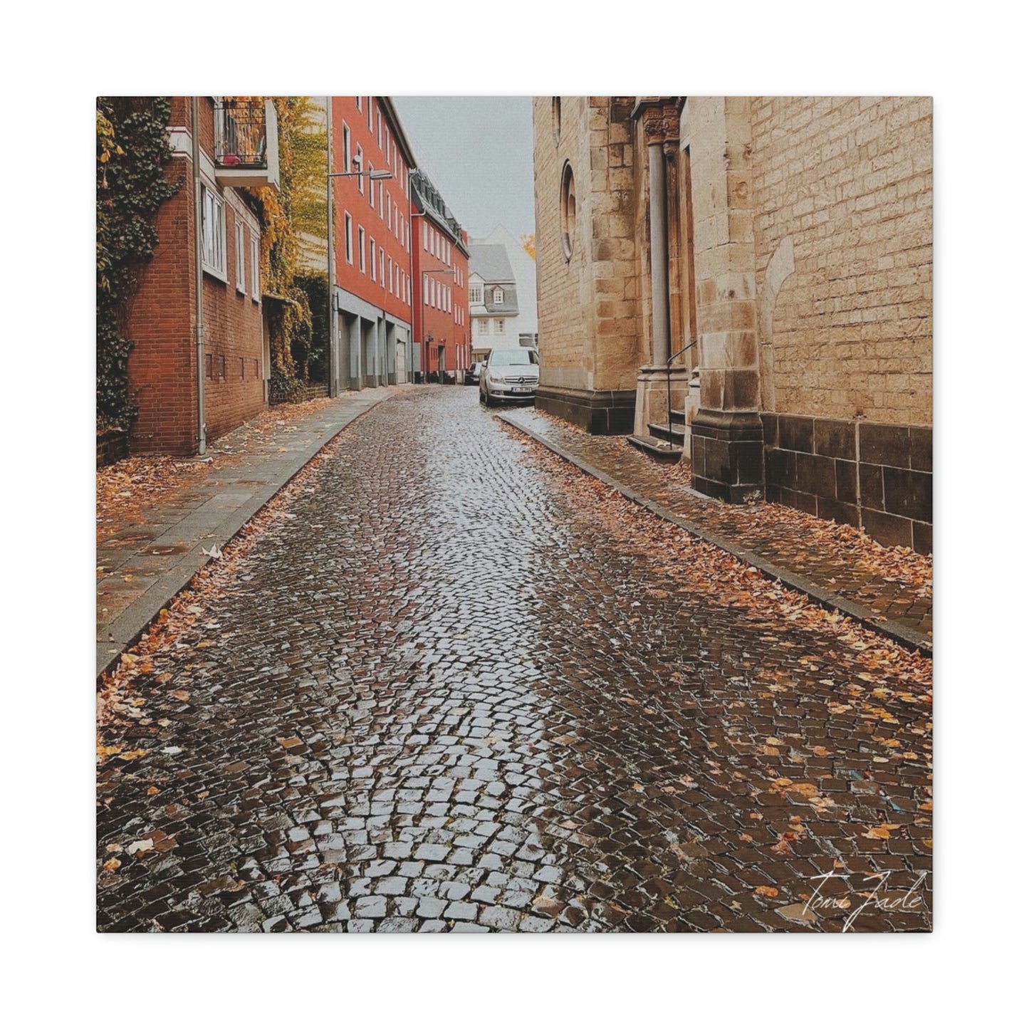Diverse Buildings of Germany - Canvas Gallery Wraps - TomiJadePhotos
