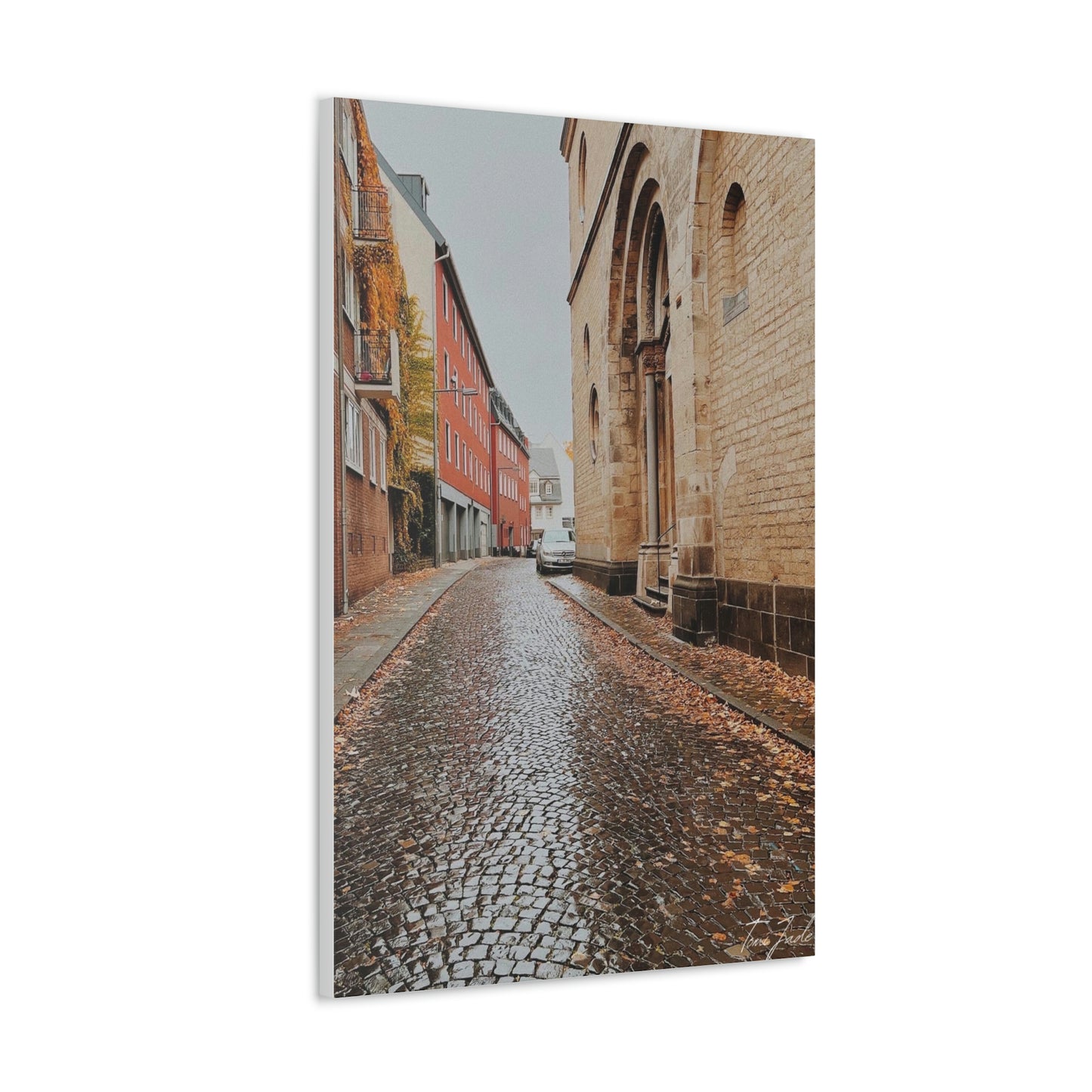 Diverse Buildings of Germany - Canvas Gallery Wraps - TomiJadePhotos