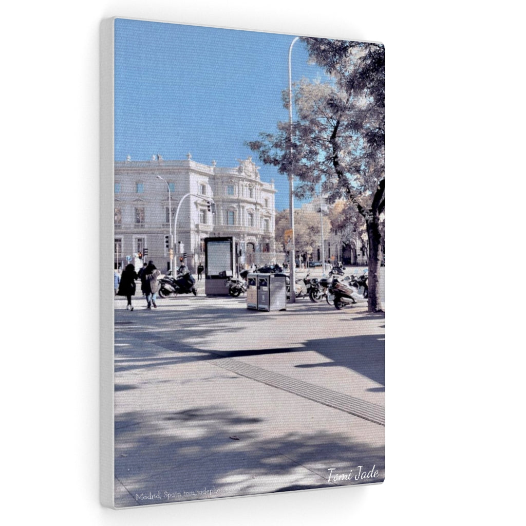 Sunny Winters - Canvas Gallery Wraps - TomiJadePhotos