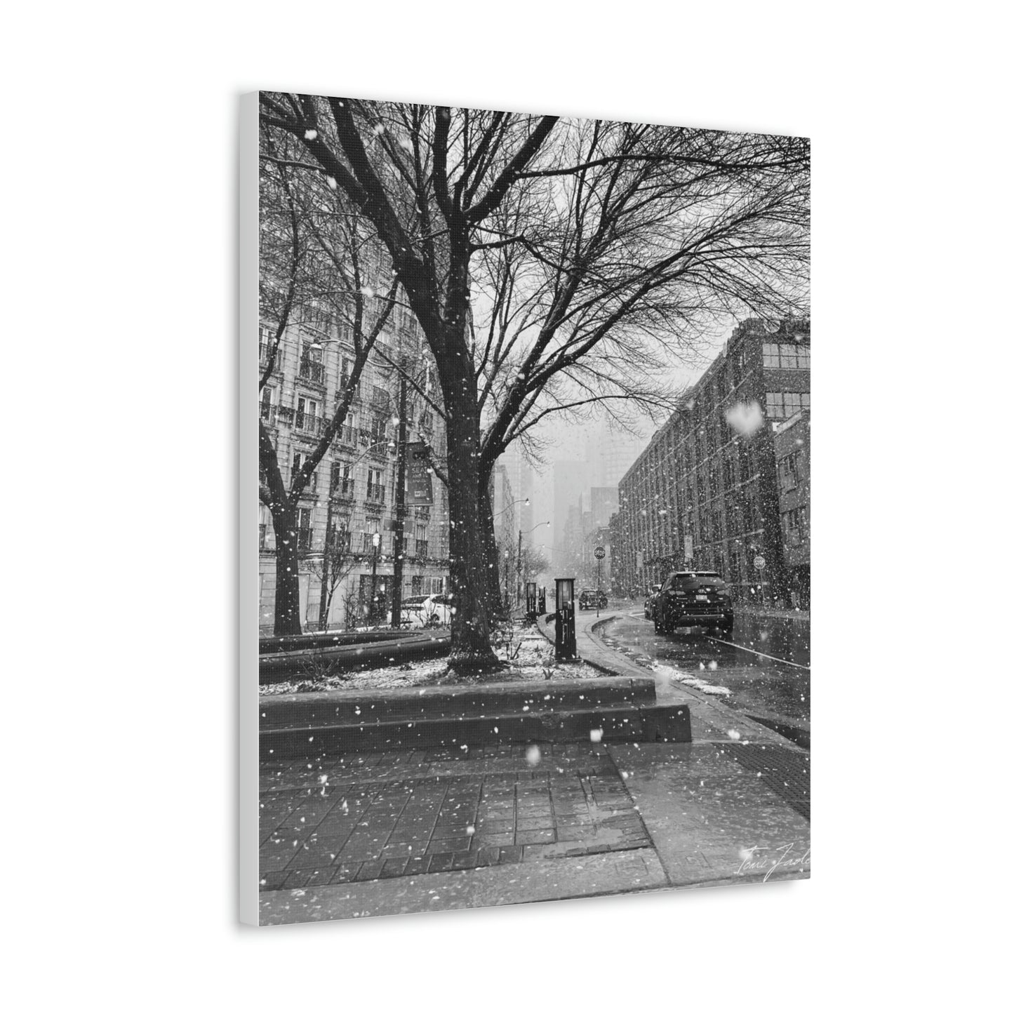 Snowfall Downtown - Canvas Gallery Wraps - TomiJadePhotos