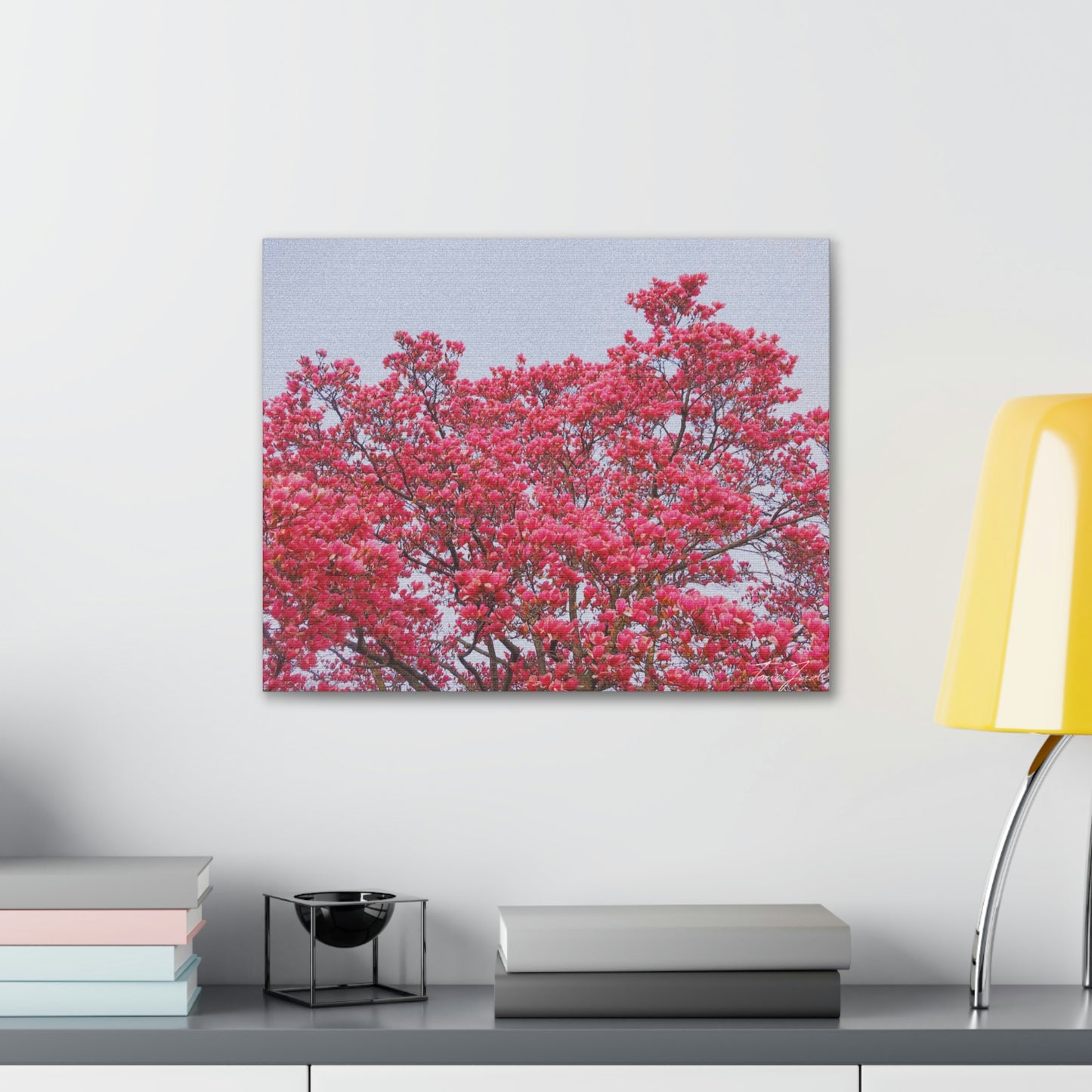 Blooming Pink - Canvas Gallery Wraps - TomiJadePhotos