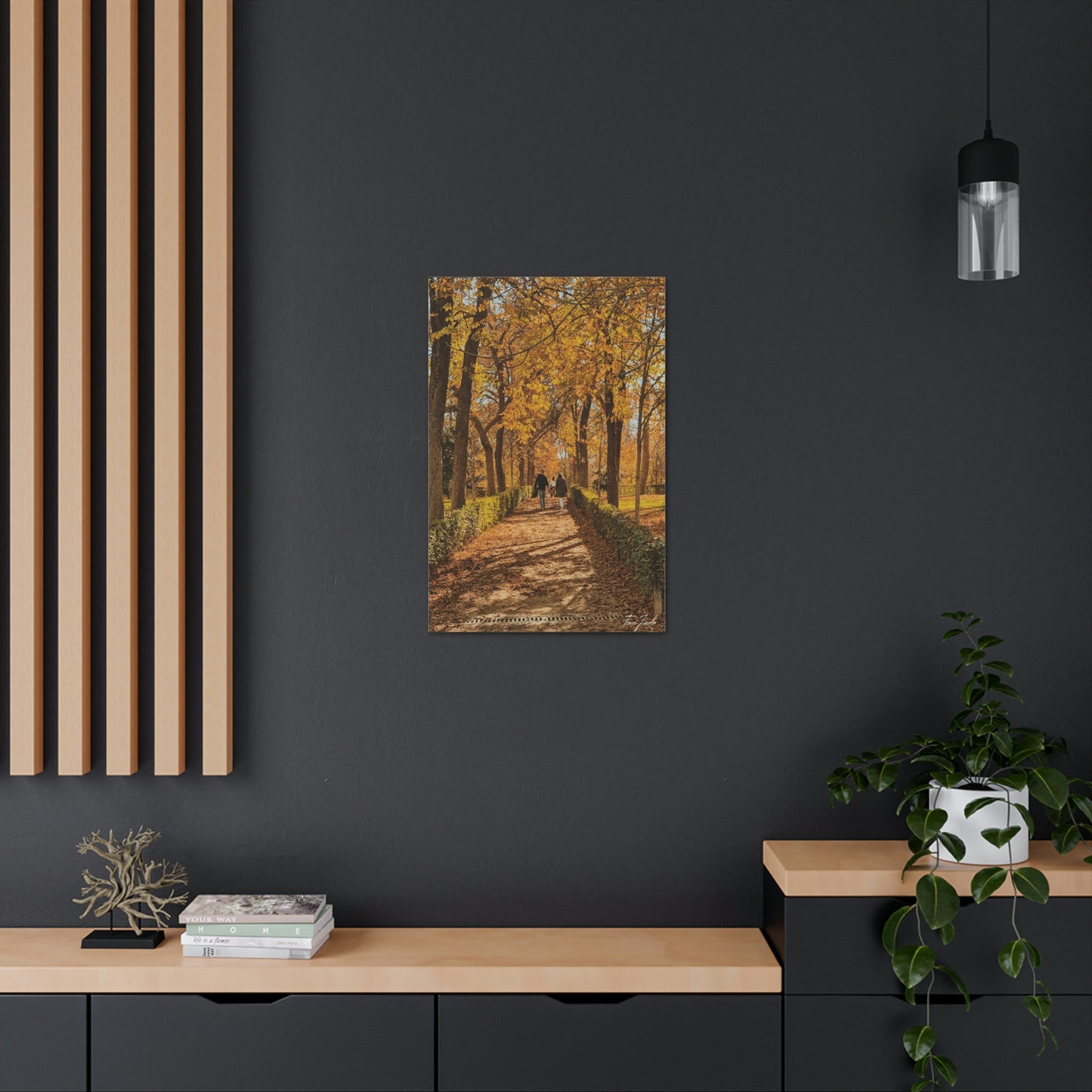 Autumn in Spain - Canvas Gallery Wraps - TomiJadePhotos