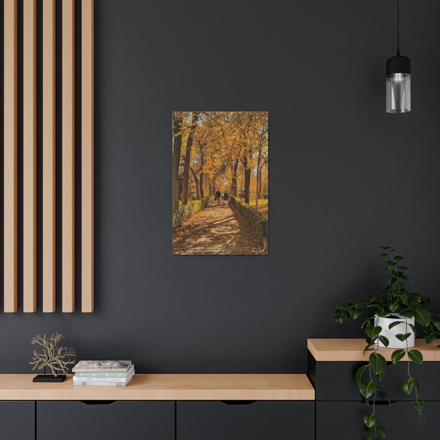 Autumn in Spain  - Canvas Gallery Wraps - TomiJadePhotos