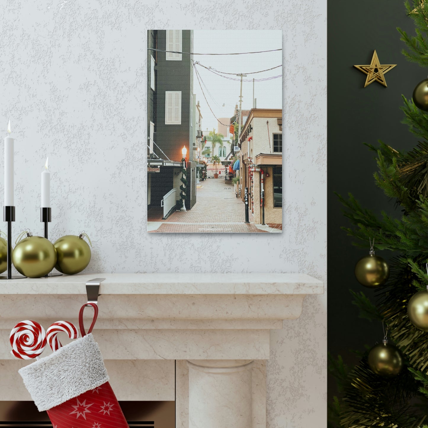 Sunshine State's Christmas - Canvas Gallery Wraps - TomiJadePhotos