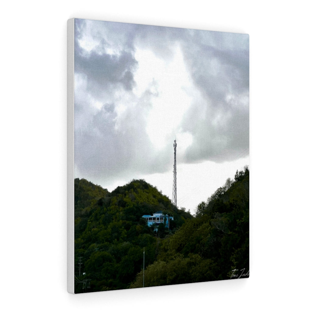 Stand Out In The Mountains-Canvas Gallery Wraps - TomiJadePhotos