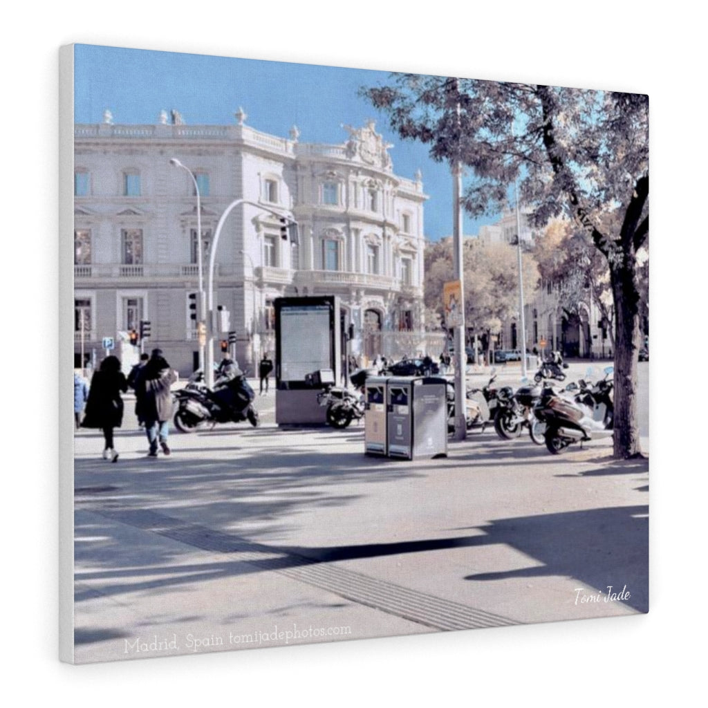 Sunny Winters - Canvas Gallery Wraps - TomiJadePhotos