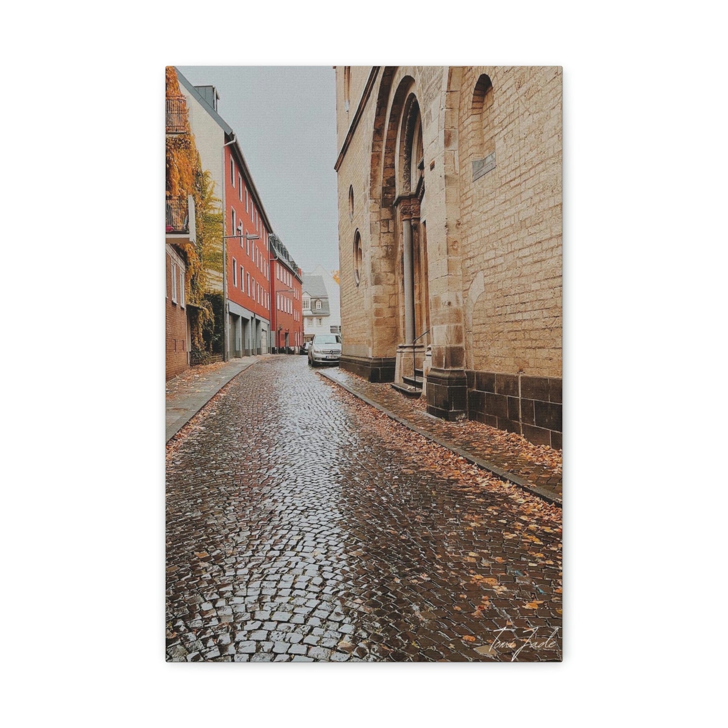 Diverse Buildings of Germany - Canvas Gallery Wraps - TomiJadePhotos