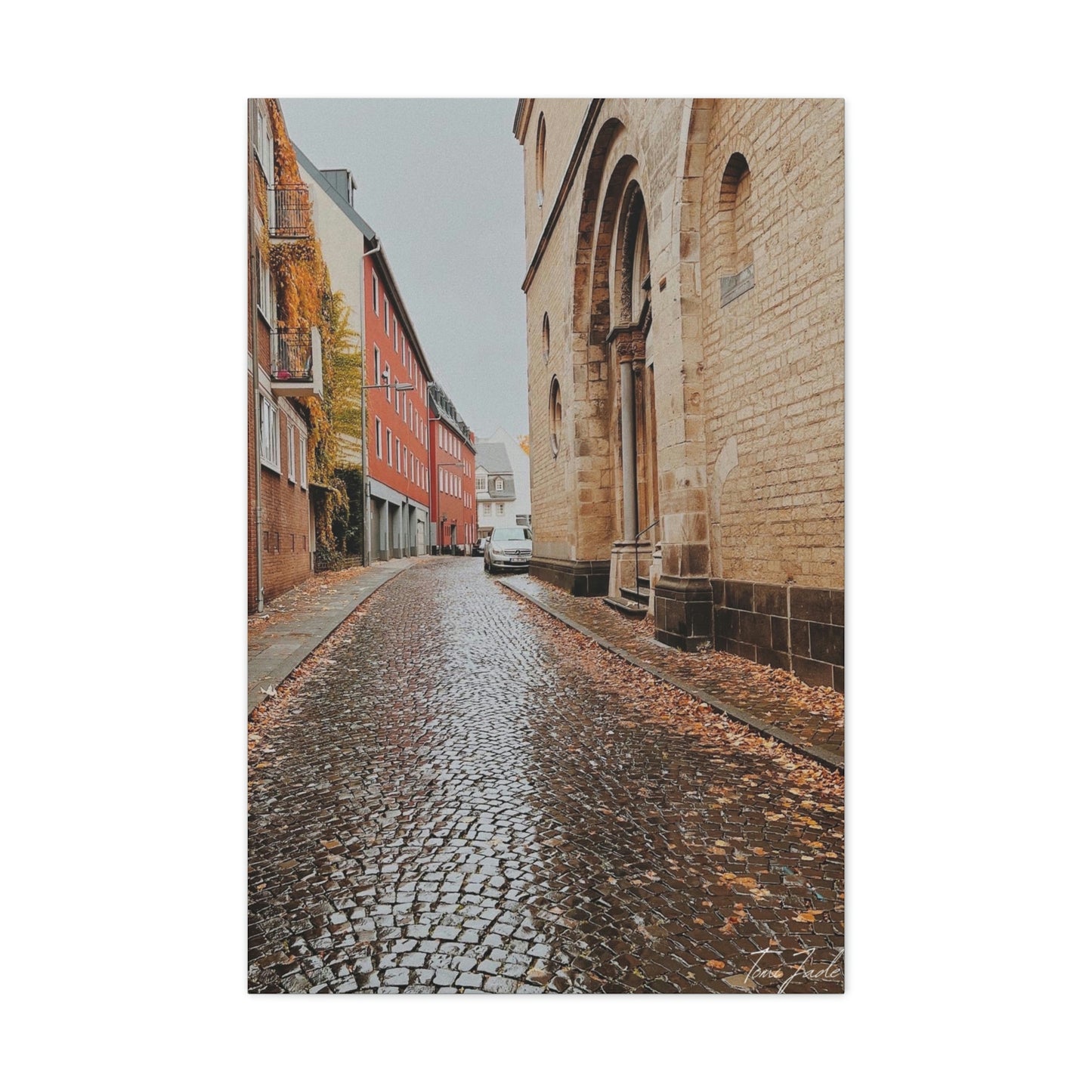 Diverse Buildings of Germany - Canvas Gallery Wraps - TomiJadePhotos