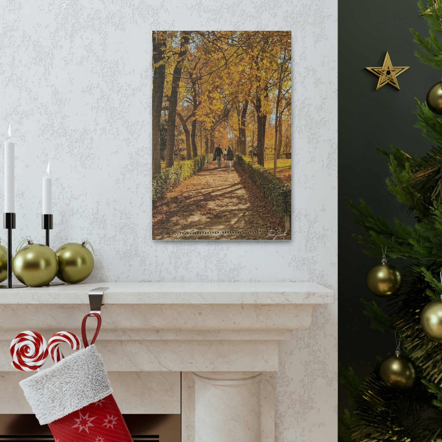 Autumn in Spain - Canvas Gallery Wraps - TomiJadePhotos
