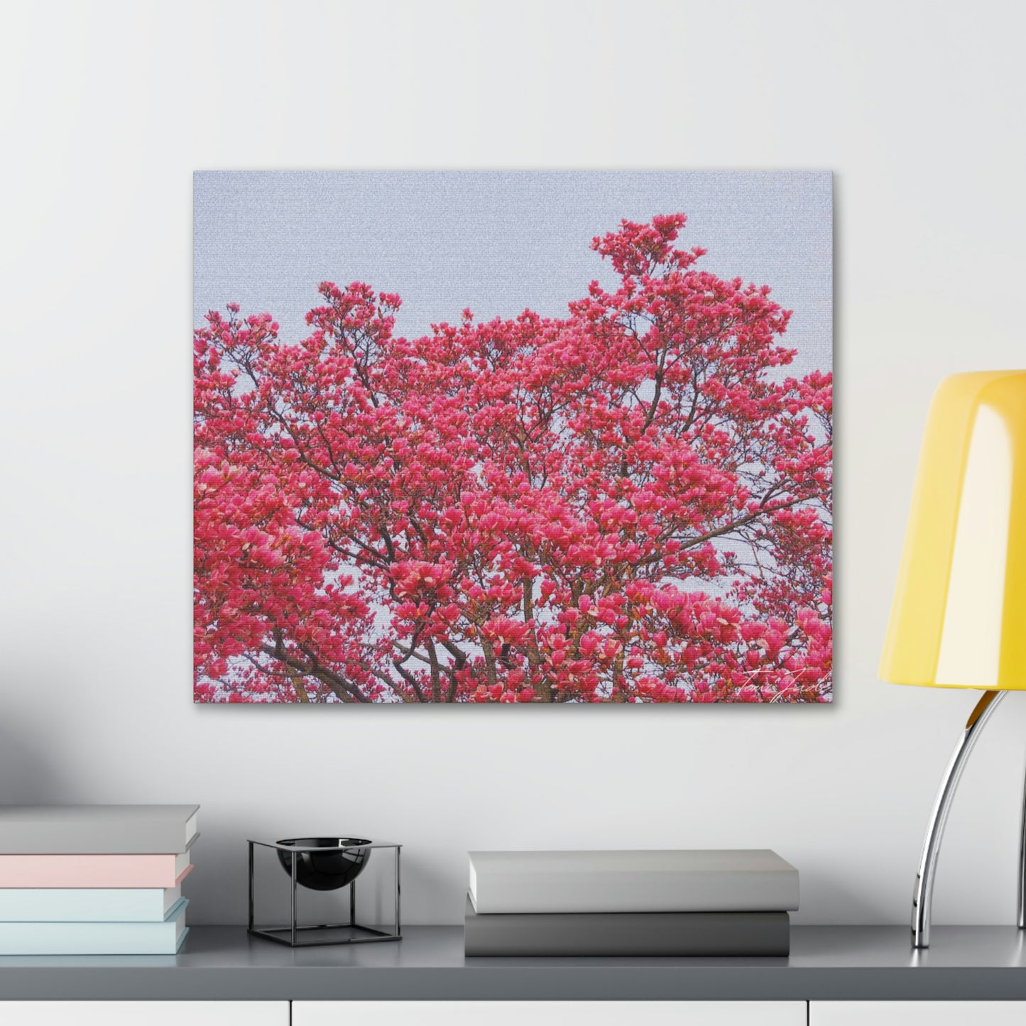 Blooming Pink - Canvas Gallery Wraps - TomiJadePhotos