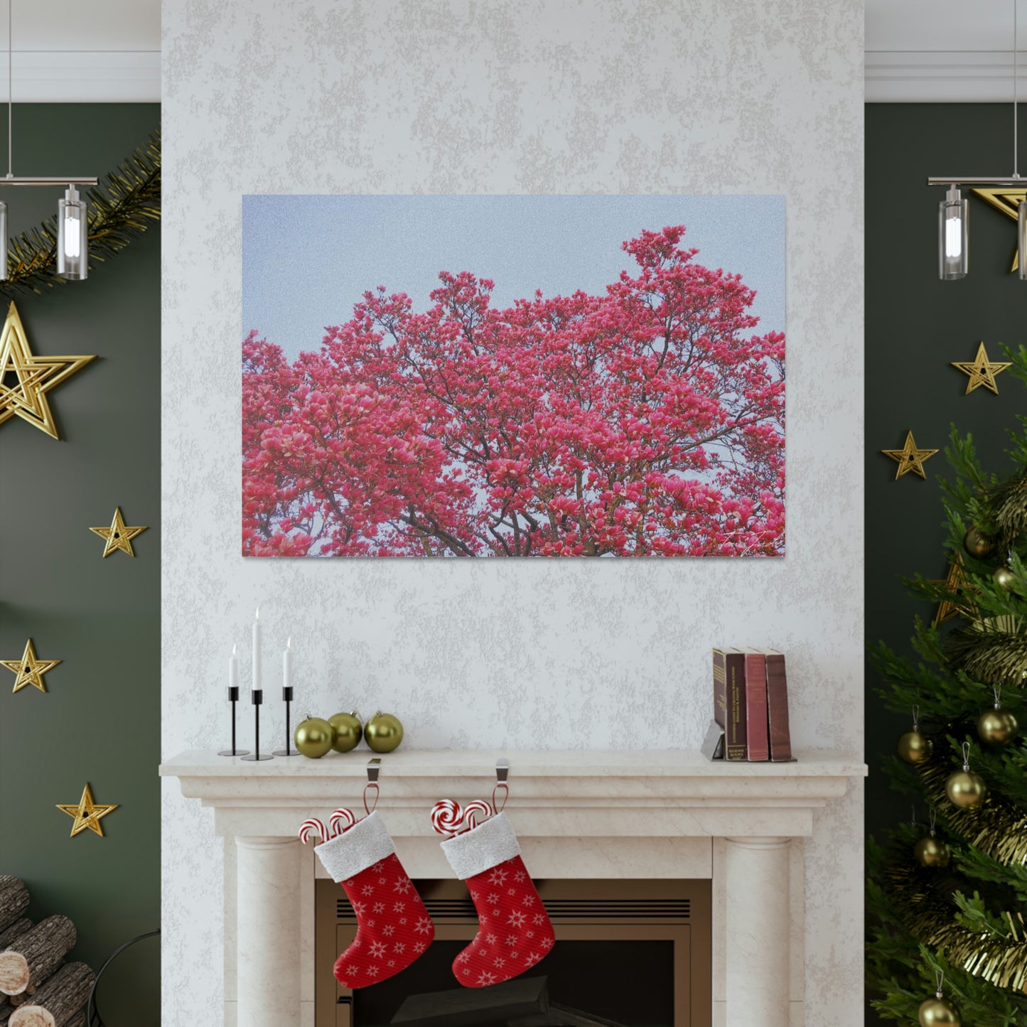 Blooming Pink - Canvas Gallery Wraps - TomiJadePhotos