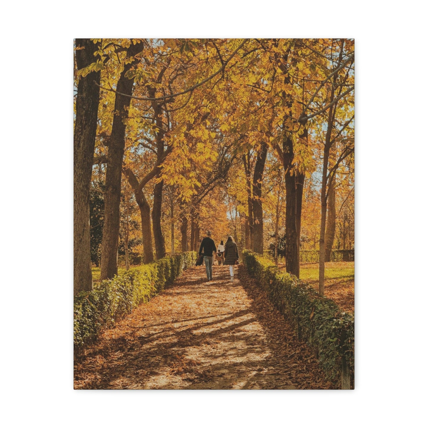 Autumn in Spain - Canvas Gallery Wraps - TomiJadePhotos