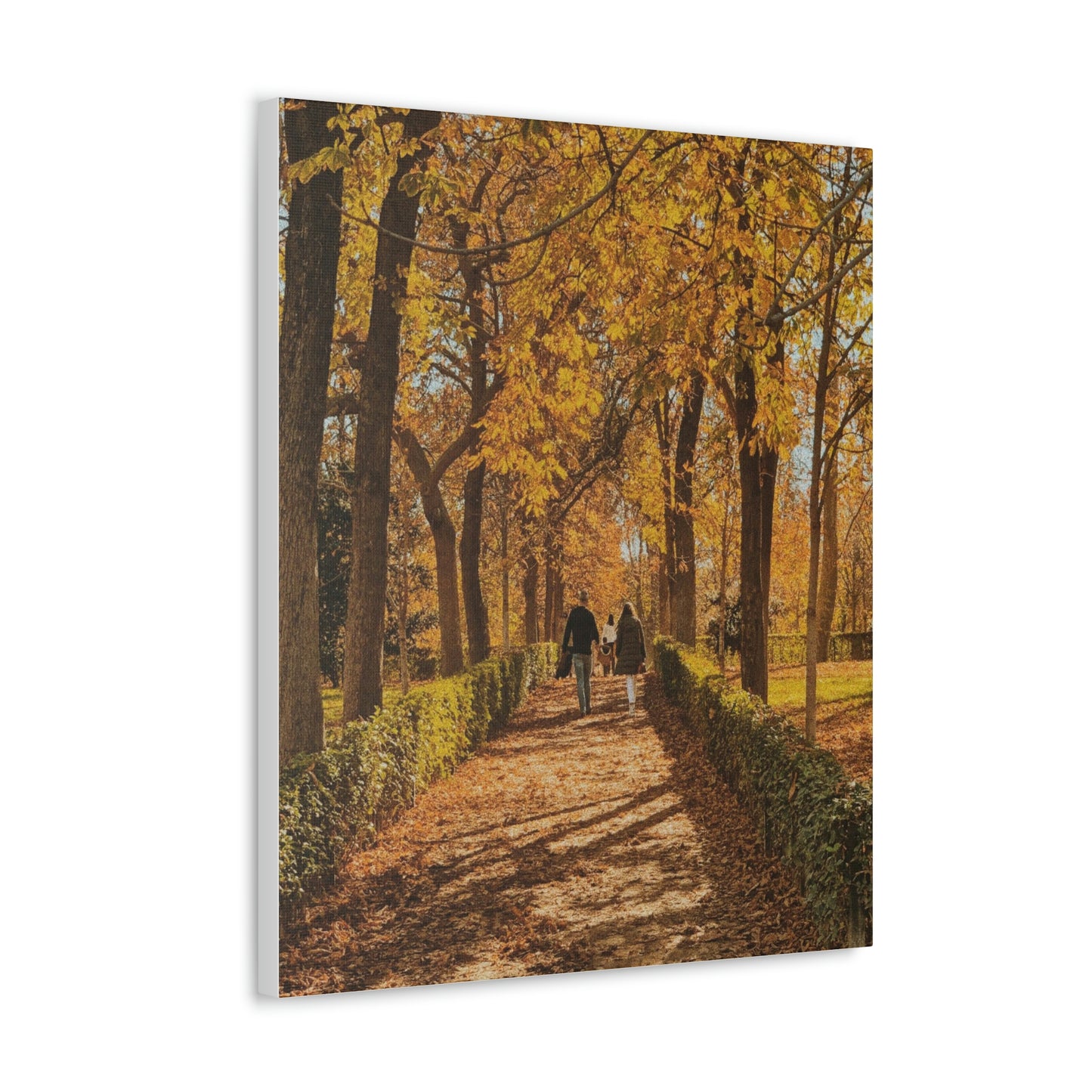 Autumn in Spain  - Canvas Gallery Wraps - TomiJadePhotos