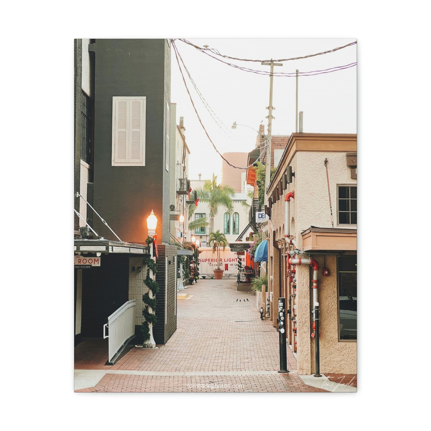 Sunshine State's Christmas - Canvas Gallery Wraps - TomiJadePhotos