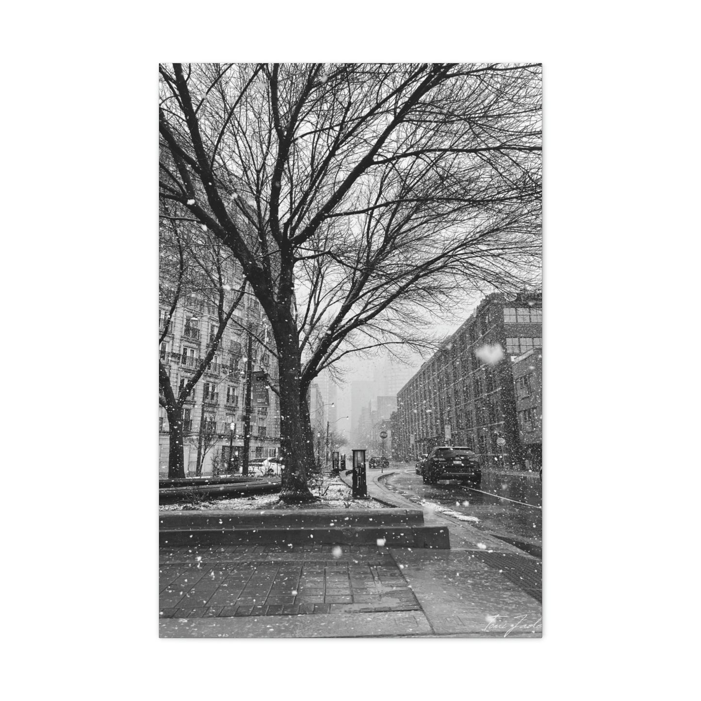 Snowfall Downtown - Canvas Gallery Wraps - TomiJadePhotos
