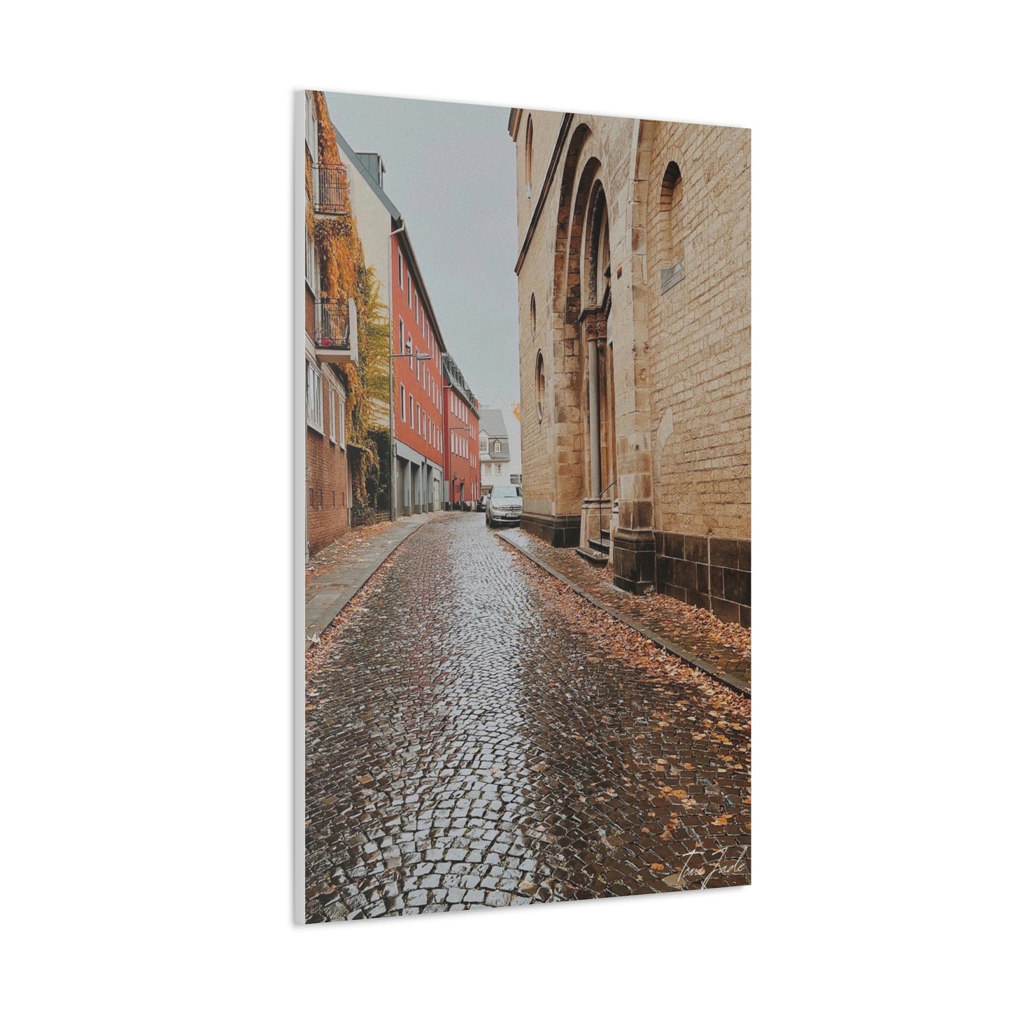 Diverse Buildings of Germany - Canvas Gallery Wraps - TomiJadePhotos