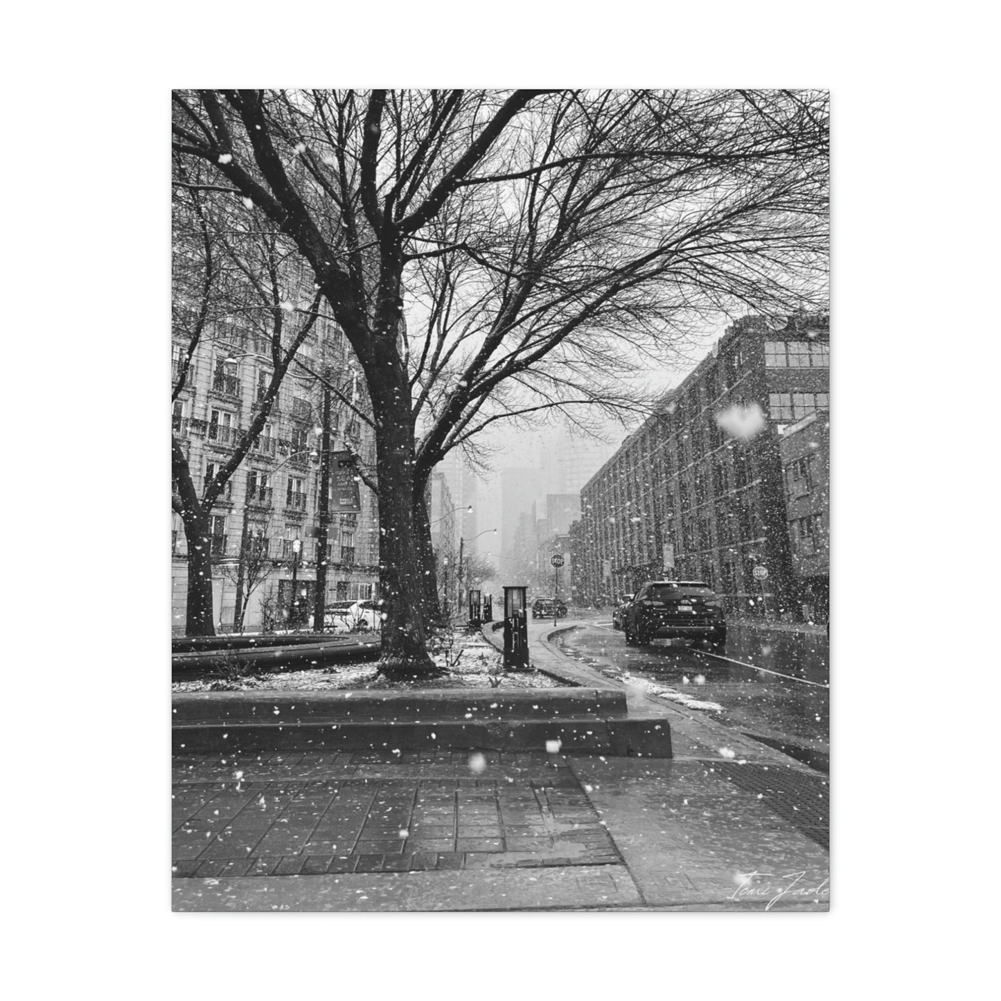 Snowfall Downtown - Canvas Gallery Wraps - TomiJadePhotos
