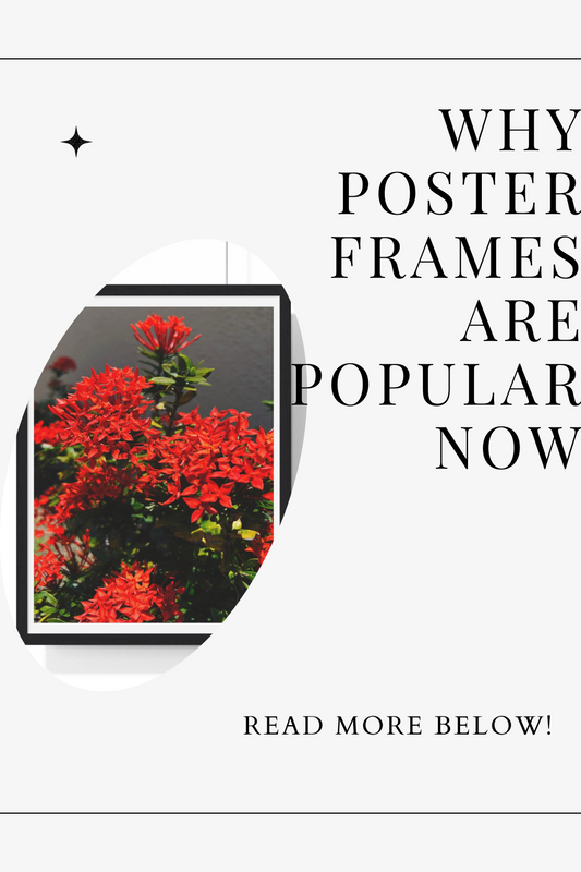 Why Poster Frames Are Popular Now