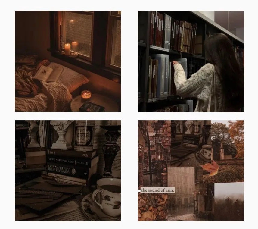 DARK ACADEMIA AESTHETIC