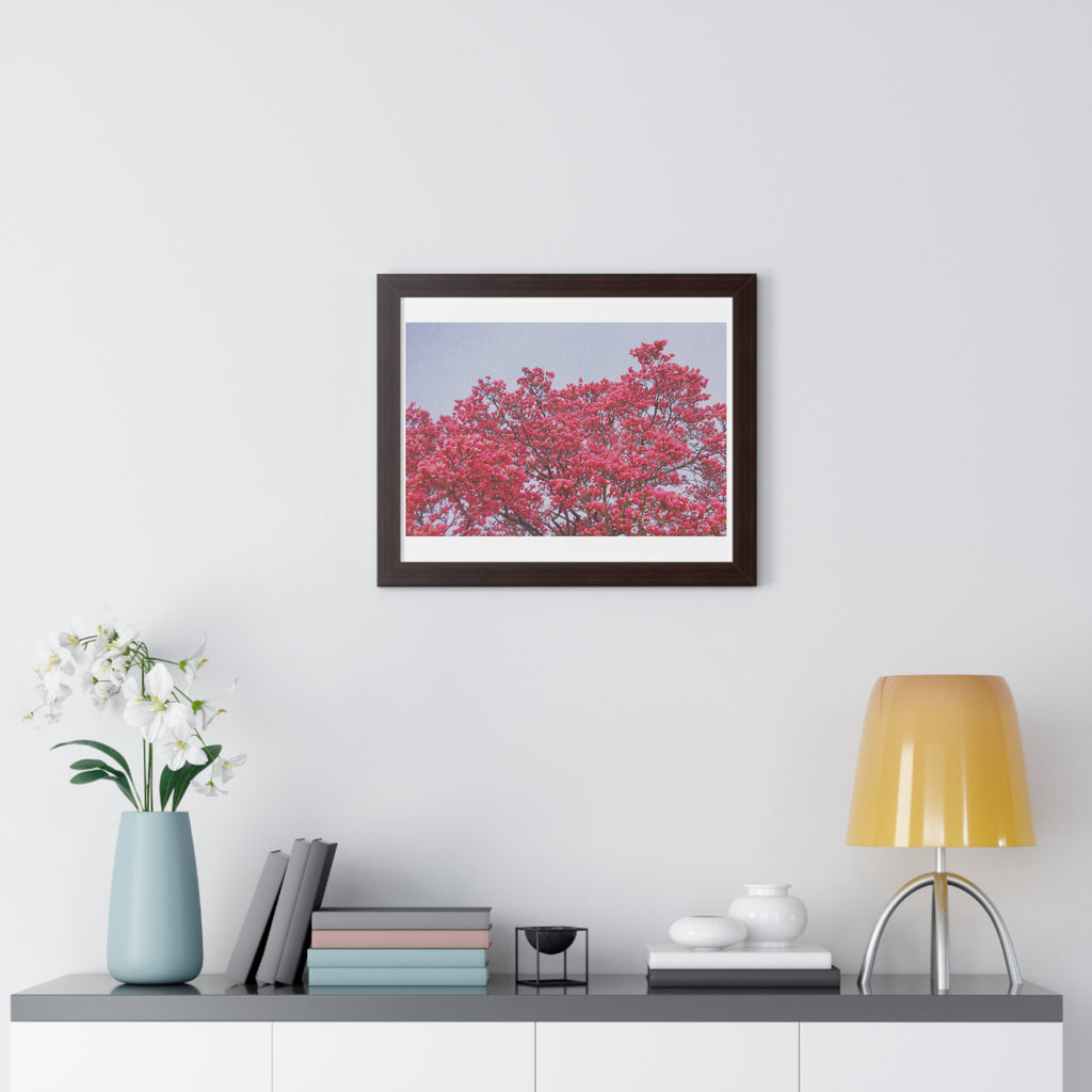 Blooming Pink - Framed Horizontal Poster