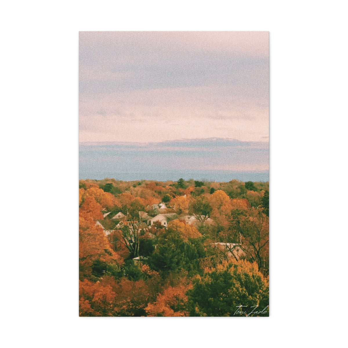 Maryland Neighborhood - Canvas Gallery Wraps