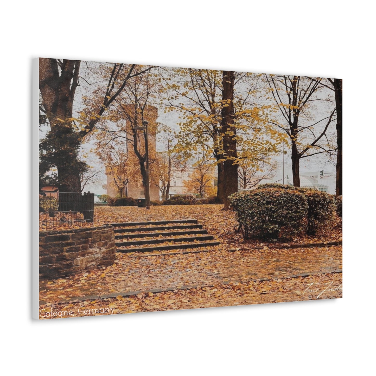 Fall in Germany-Canvas Gallery Wraps