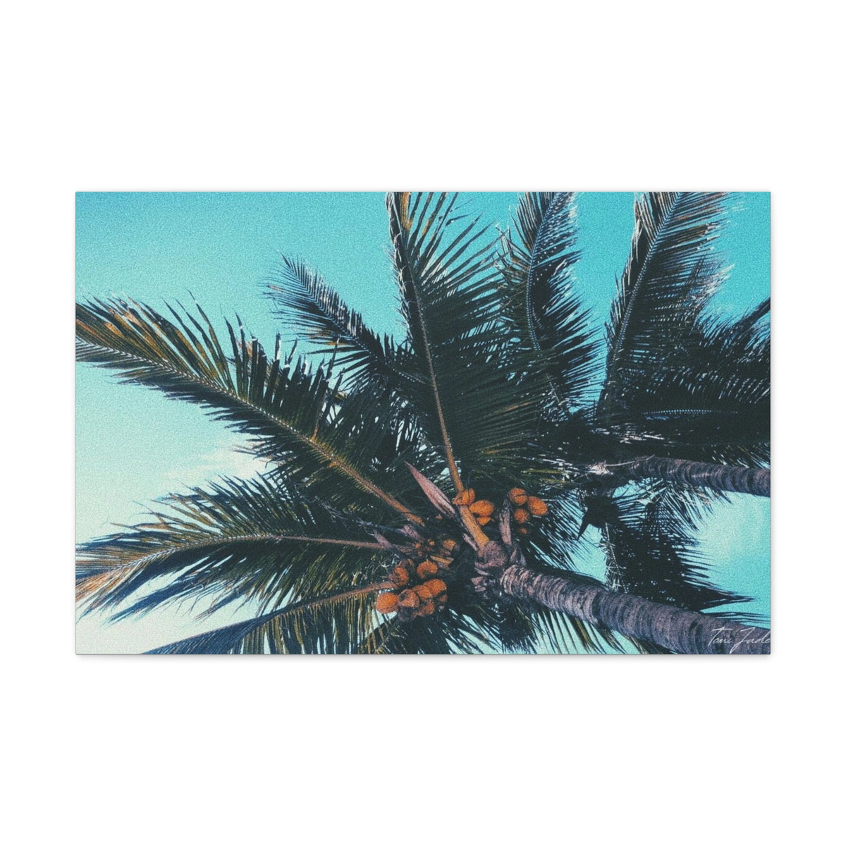 Tropic - Canvas Gallery Wraps