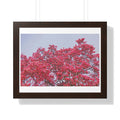 Blooming Pink - Framed Horizontal Poster