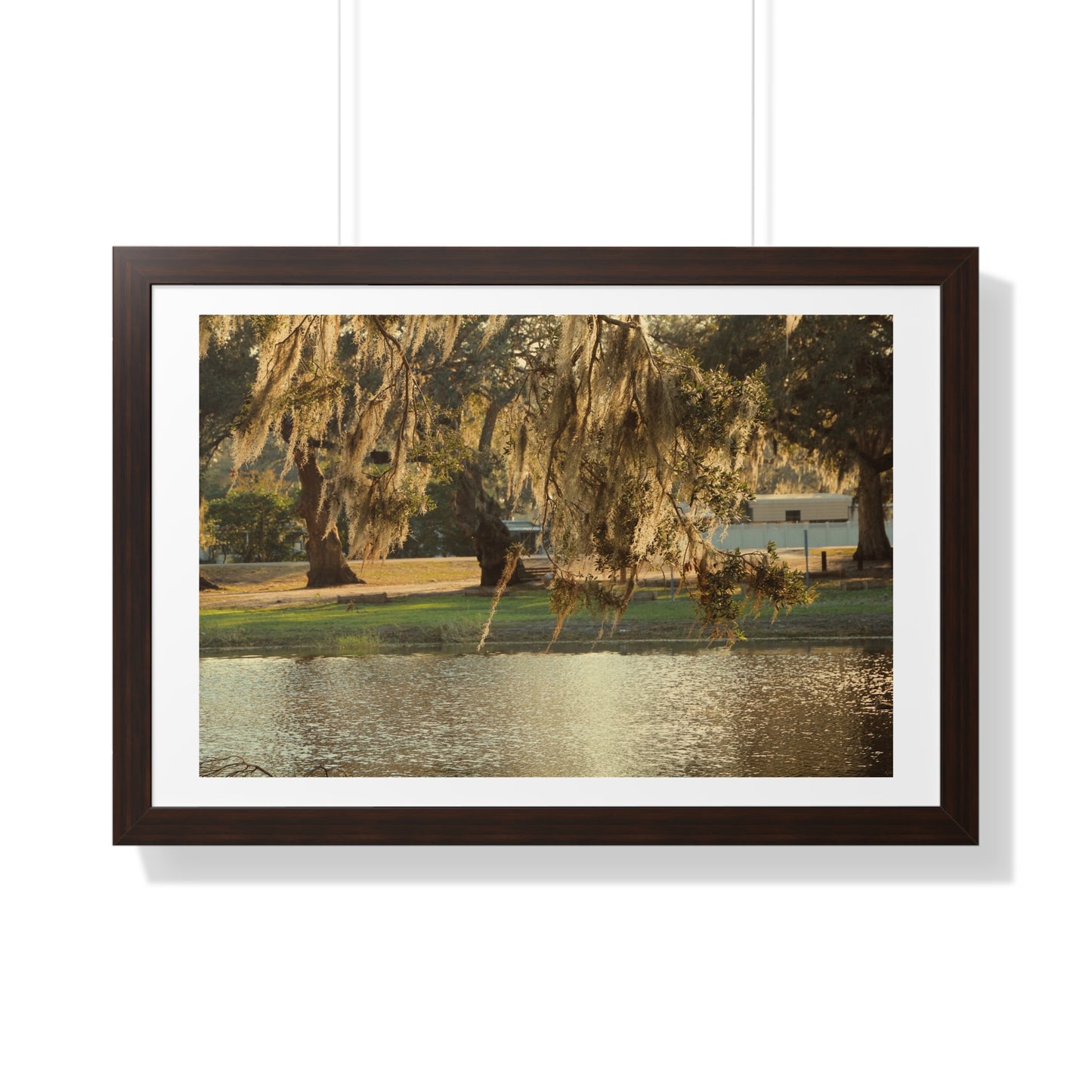 A Golden Park - Framed Horizontal Poster