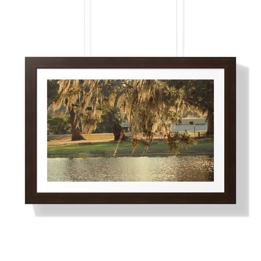 A Golden Park - Framed Horizontal Poster