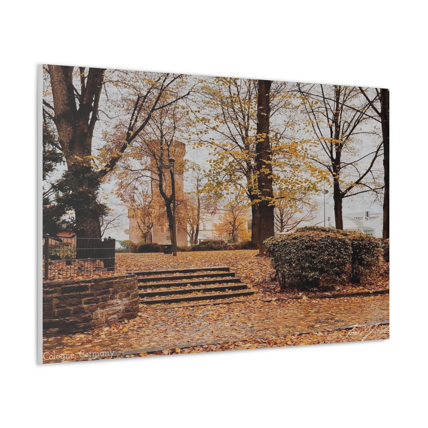 Fall in Germany-Canvas Gallery Wraps