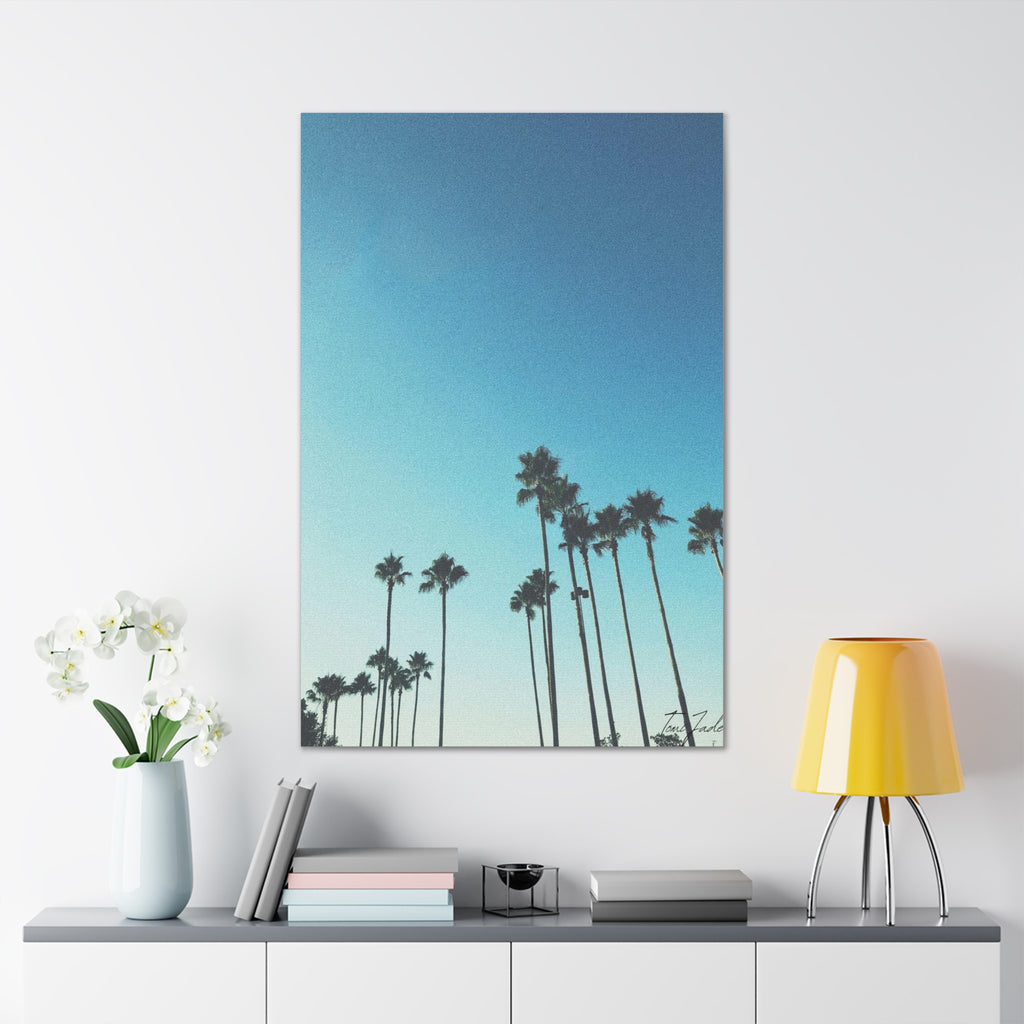 Palm Paradise - Canvas Gallery Wraps