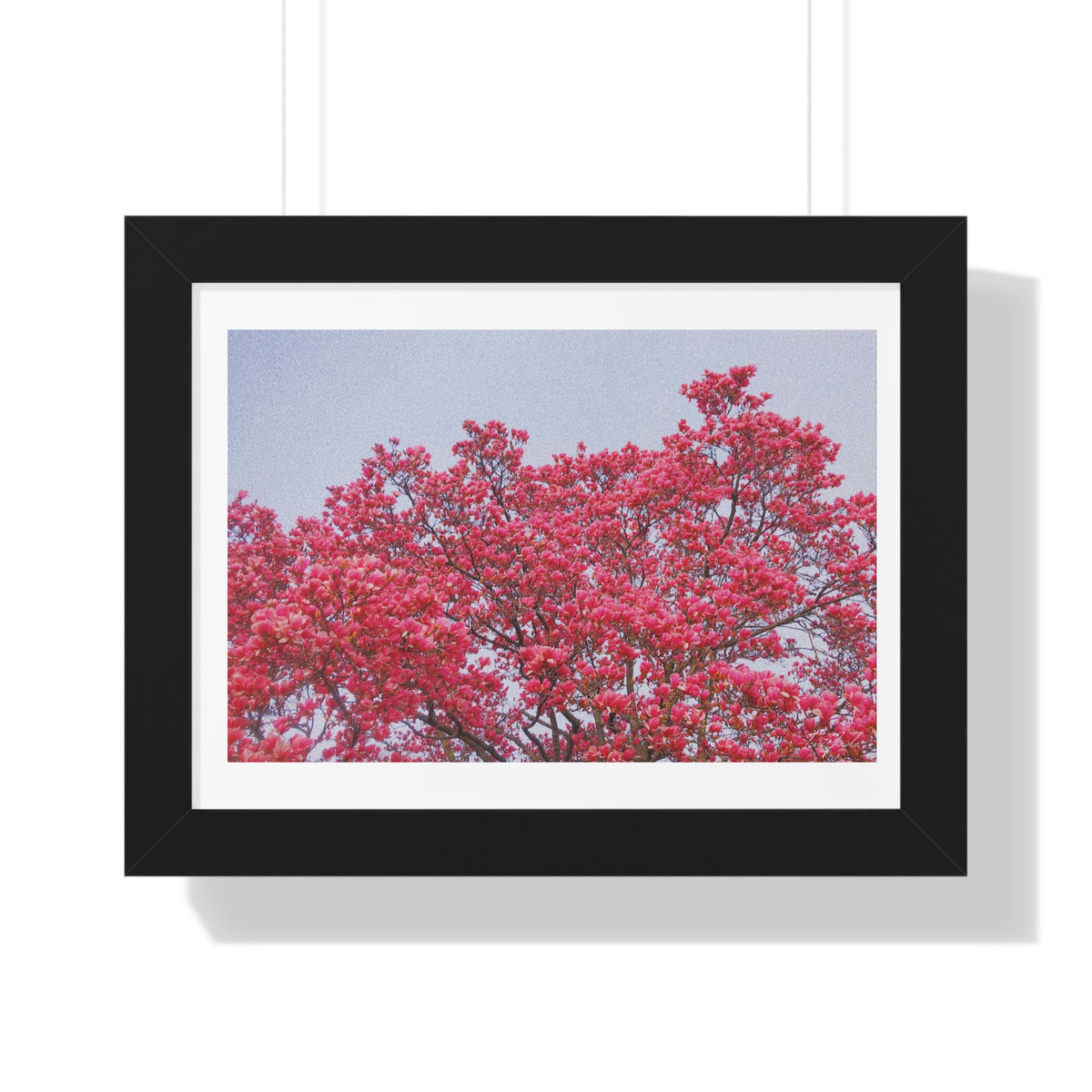 Blooming Pink - Framed Horizontal Poster