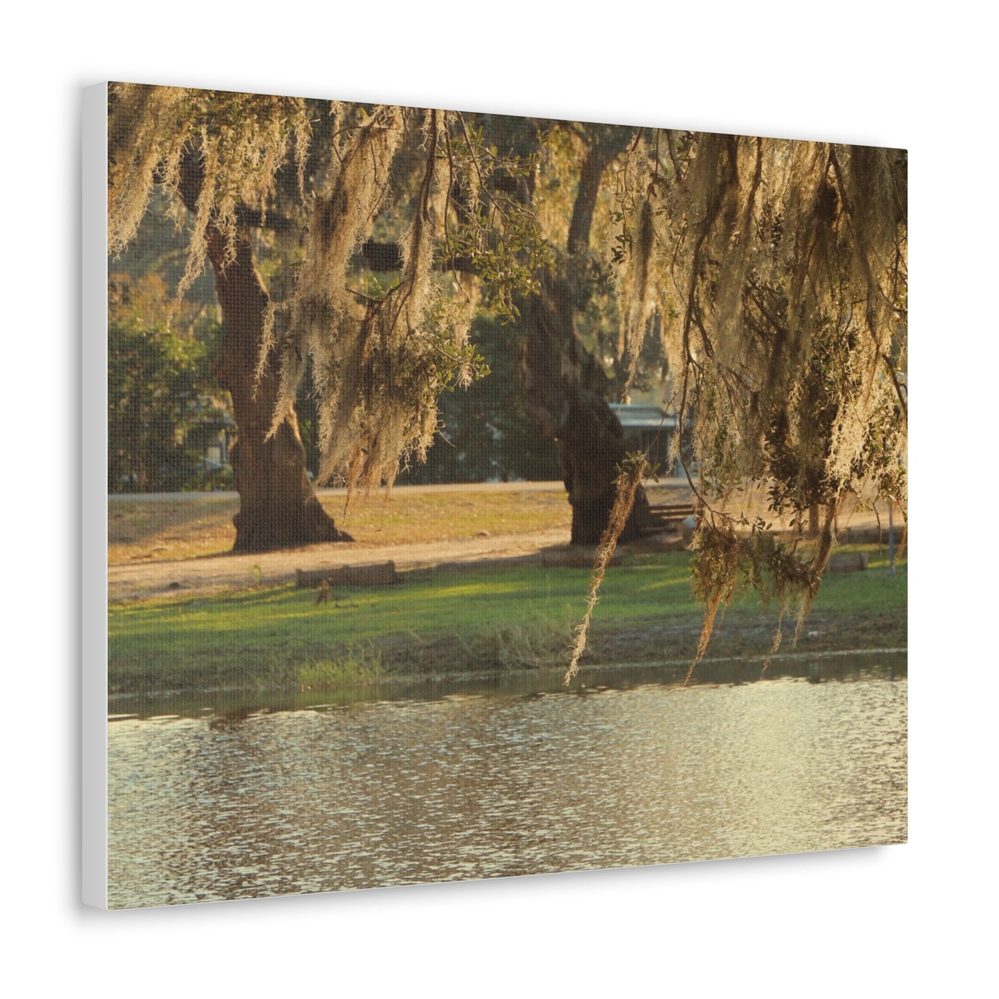 A Golden Park - Canvas Gallery Wraps