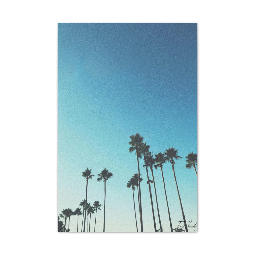 Palm Paradise - Canvas Gallery Wraps