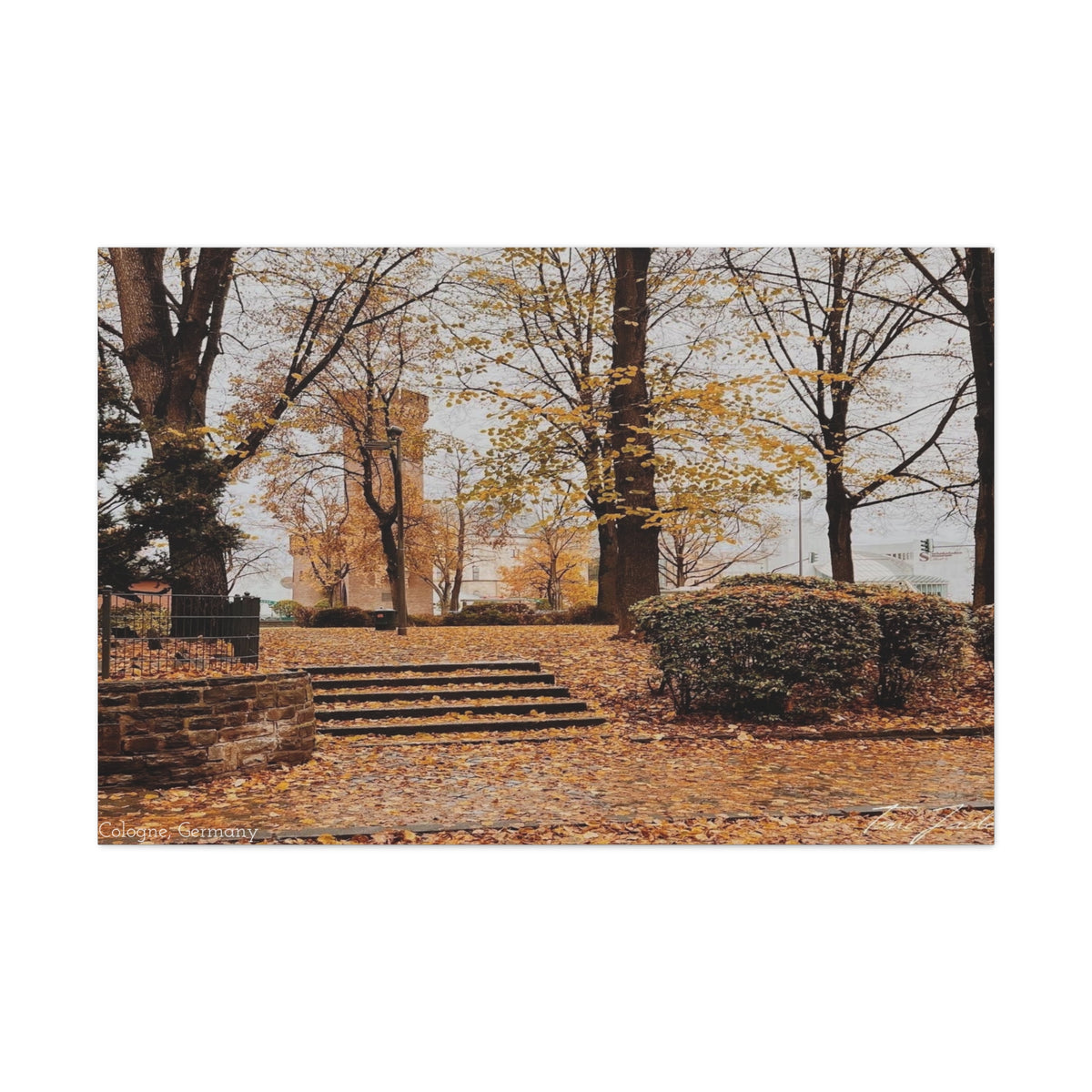 Fall in Germany-Canvas Gallery Wraps