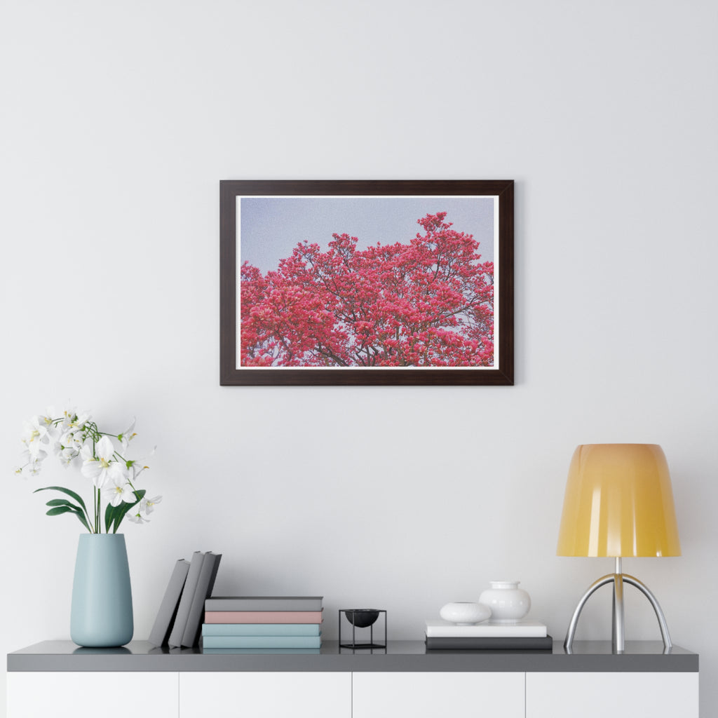 Blooming Pink - Framed Horizontal Poster