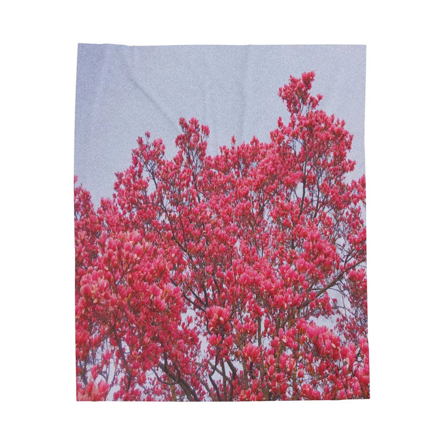 Blooming Pink - Velveteen Plush Blanket
