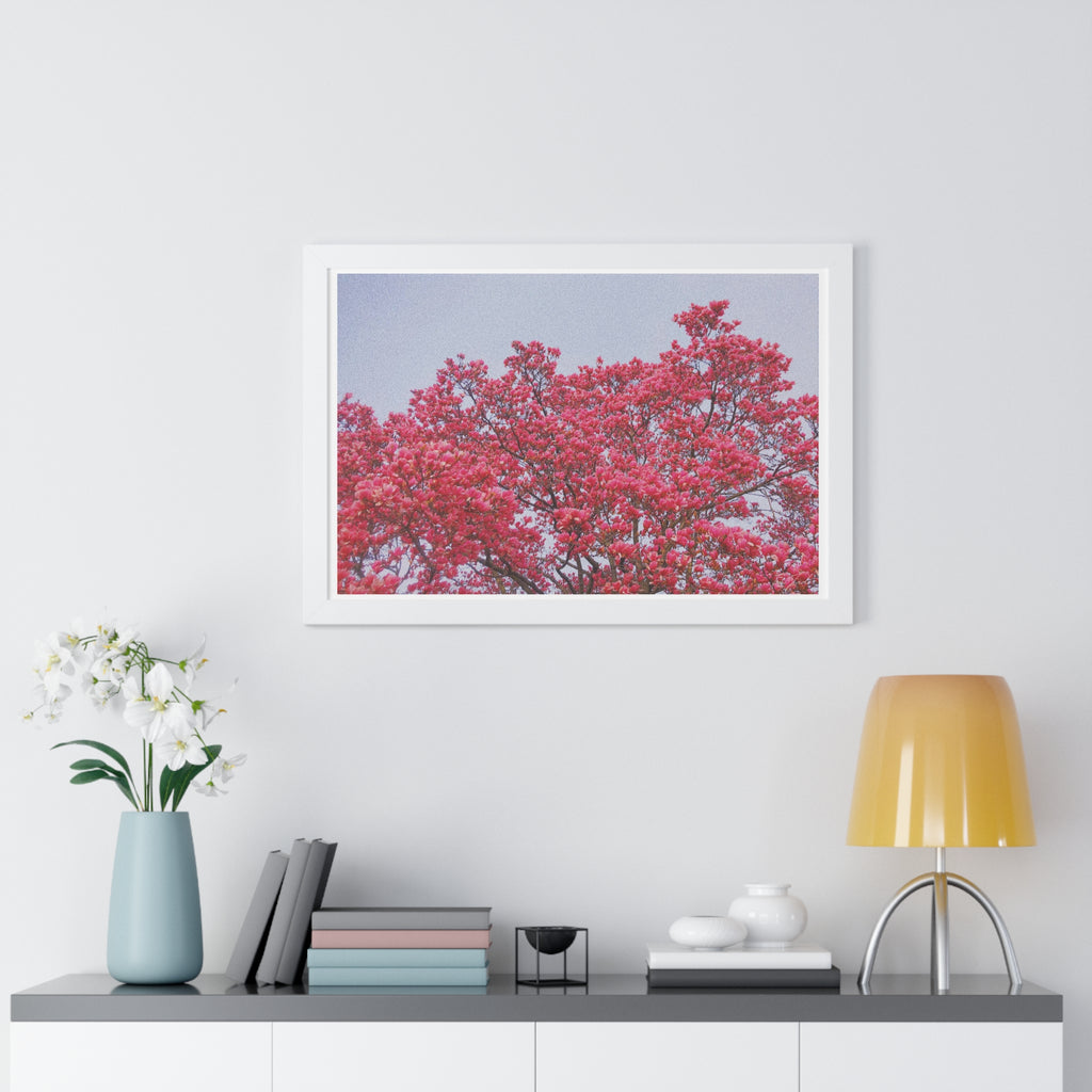 Blooming Pink - Framed Horizontal Poster