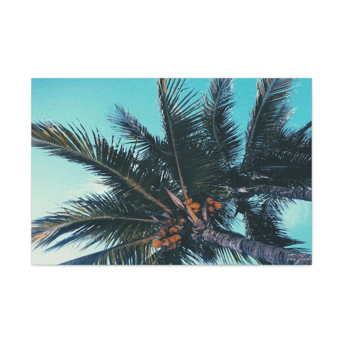 Tropic - Canvas Gallery Wraps