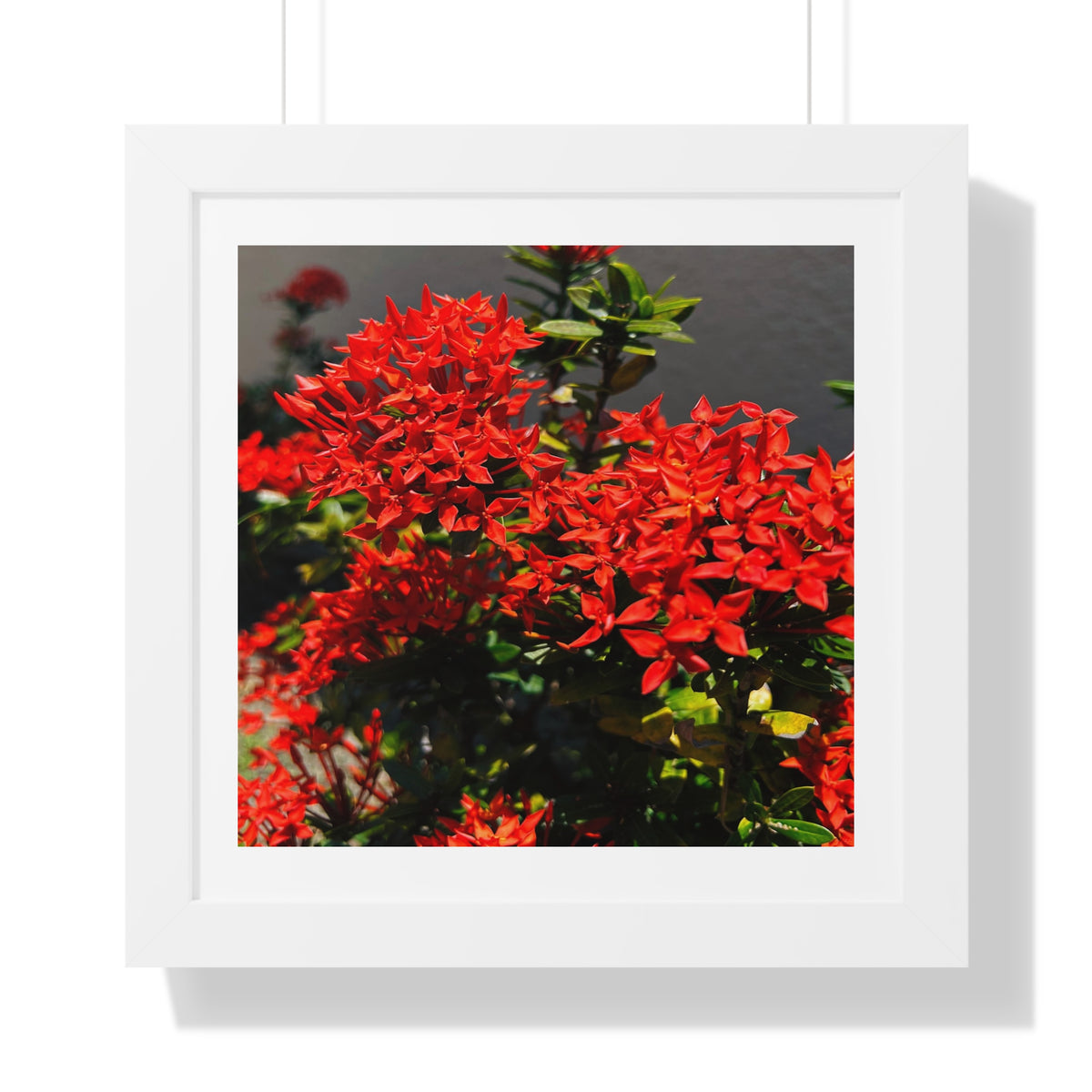 Rubia - Framed Vertical Poster