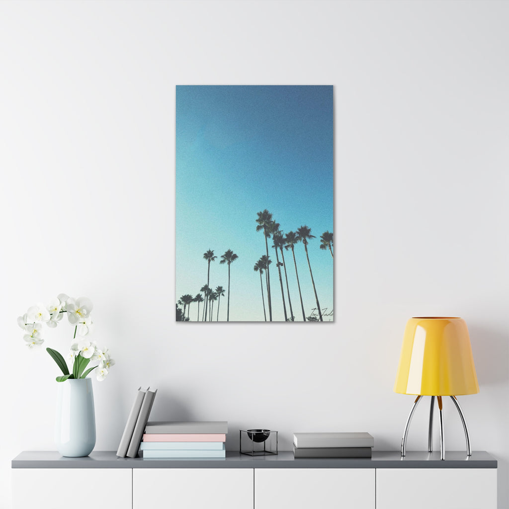 Palm Paradise - Canvas Gallery Wraps