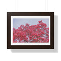 Blooming Pink - Framed Horizontal Poster
