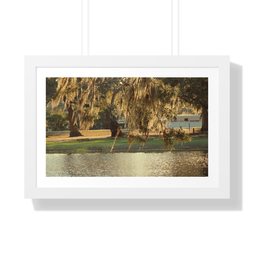 A Golden Park - Framed Horizontal Poster