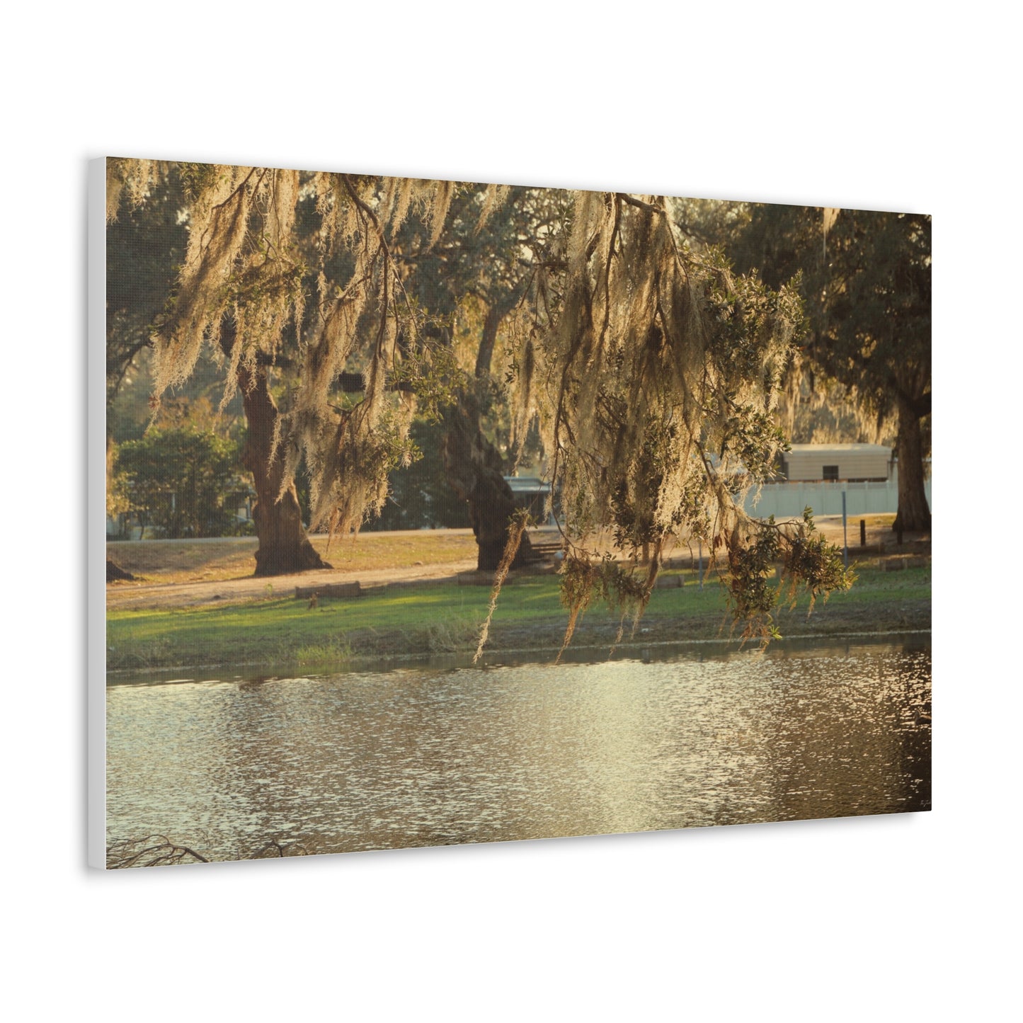 A Golden Park - Canvas Gallery Wraps