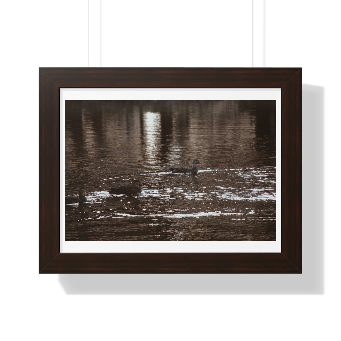 Ducks in a Pond - Framed Horizontal Poster