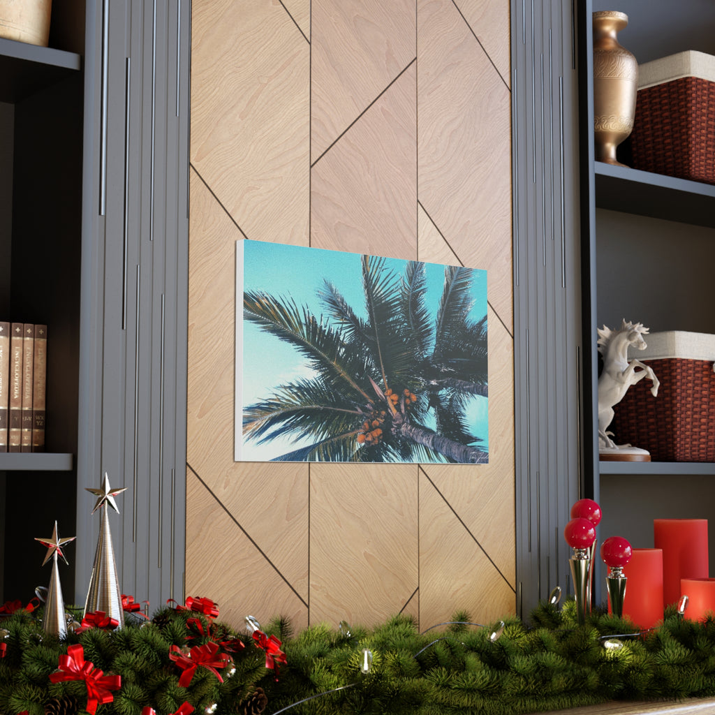 Tropic - Canvas Gallery Wraps