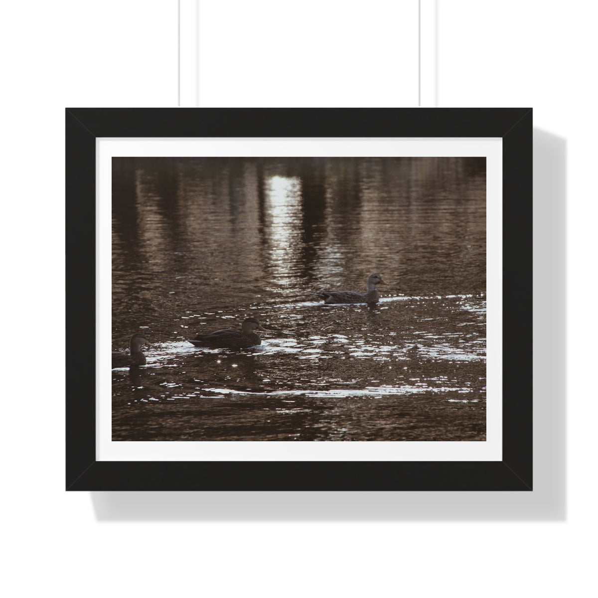 Ducks in a Pond - Framed Horizontal Poster